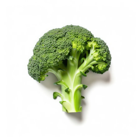 Broccoli isolated on white background - generated with generative AIの素材