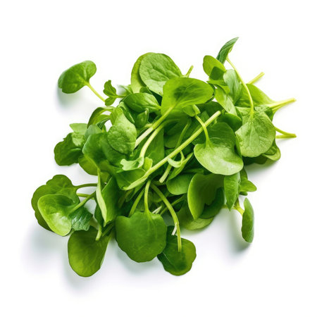 Watercress isolated on white background - generated with generative AIの素材