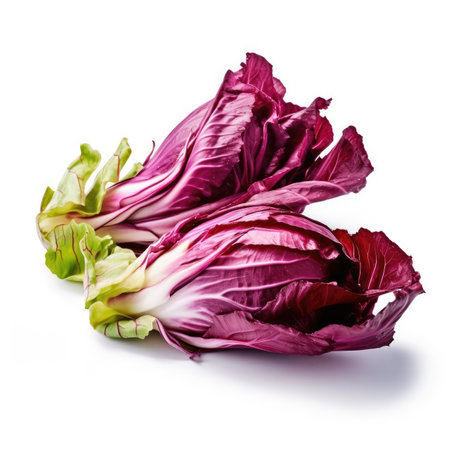Radicchio isolated on white background - generated with generative AIの素材