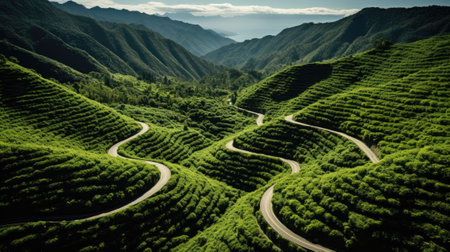 Morning sunlight illuminates the agriculture area atop the mountain. Image generated with Generative AIの素材