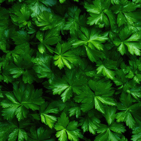 Parsley as seamless tiles - Generative AIの素材
