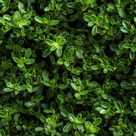 Thyme as seamless tiles - Generative AIの素材