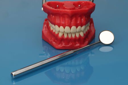 dental model background.