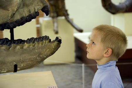 Small boy looking at ancient sceleton in paleontology museumの写真素材