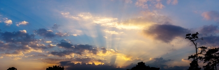 Background of panorama sky twilight cloud and sliver lining sihouette tree shadow, sunrise or sunset...