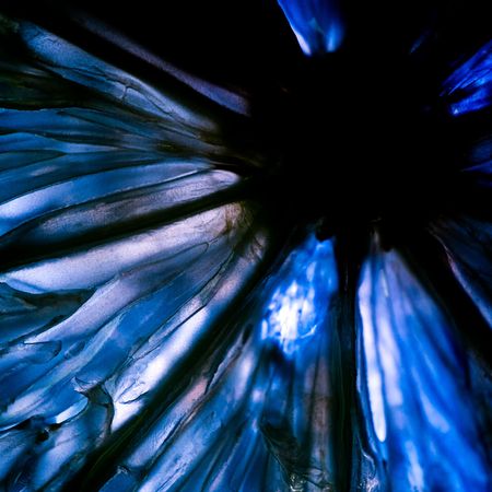 Abstract background texture of fruit, macro pictureの写真素材