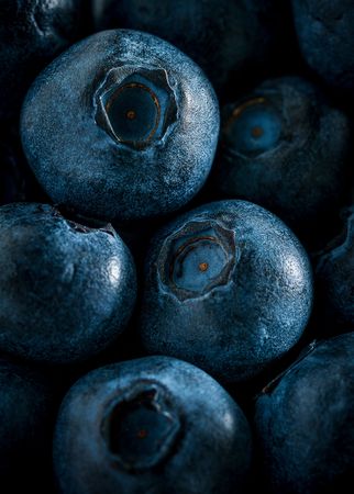 Close up pile of ripe blueberries, fresh fruit background macro pictureの写真素材
