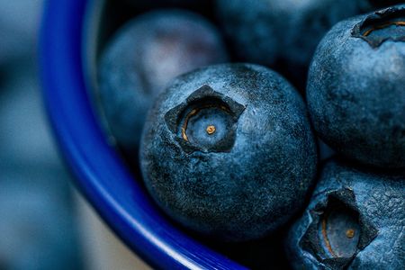 Macro picture of pile of blueberries in the white cup ,fresh fruit backgroundの写真素材