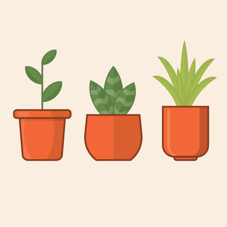 3 green plants in orange pots, vector icon set illustration, flat designのイラスト素材
