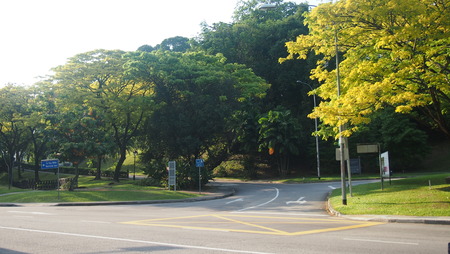 A public park in Singaporeの写真素材