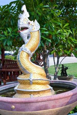 A Yellow Snake Stand on The Surfaceの写真素材