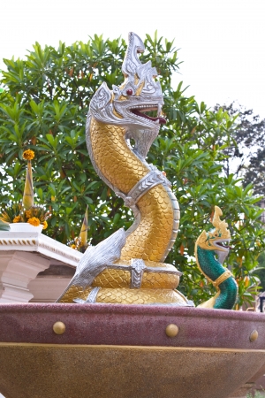 A yellow Snake Moldの写真素材
