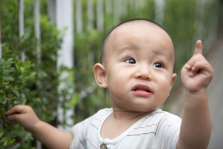 babyの写真素材
