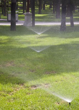 water sprinkleの写真素材
