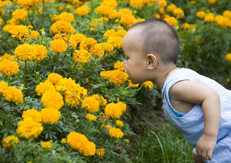 kid and flowersの写真素材