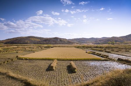 autumn farmlandの写真素材