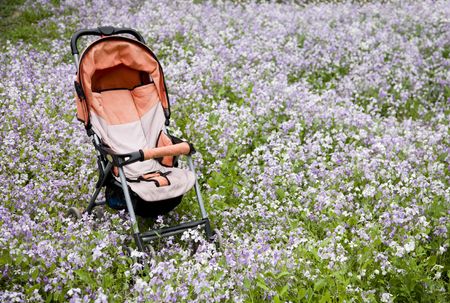 Baby Carriage in the flower fieldの写真素材
