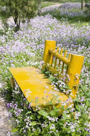 garden bench の写真素材