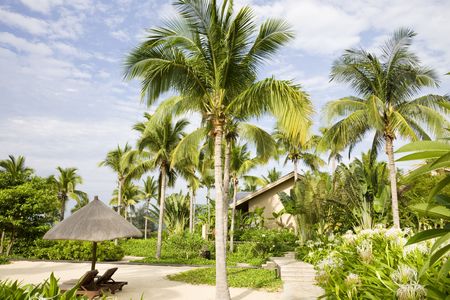 tropical landscapeの写真素材