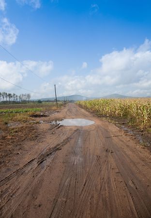 Dirt road after rainの写真素材