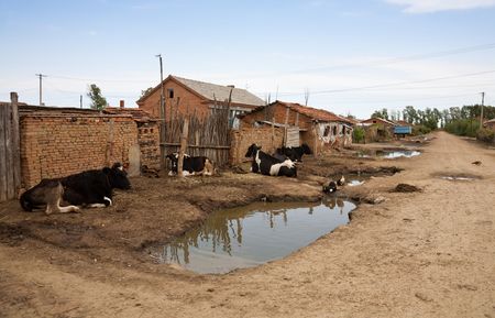 Poverty - poor housing in a villageの写真素材