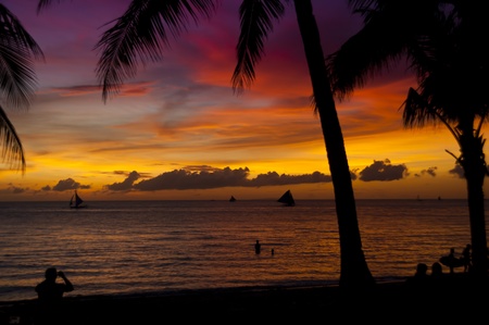 Tropical Beach Sunset