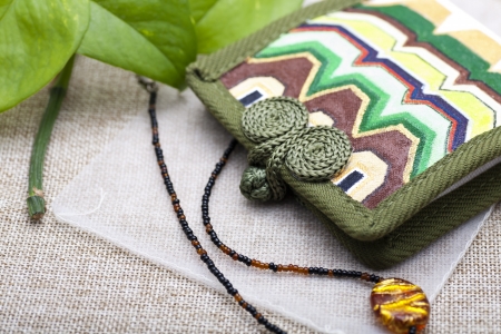 Canvas purse with traditional Chinese painting on it  It s an elegant homemade artwork の写真素材