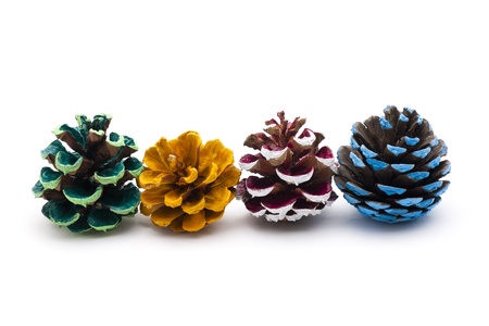 Multi-colored pine cones on white background 