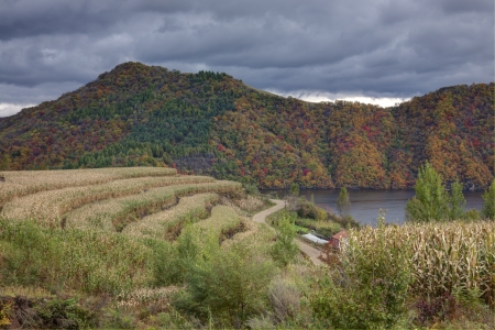 Rural landscapeの写真素材
