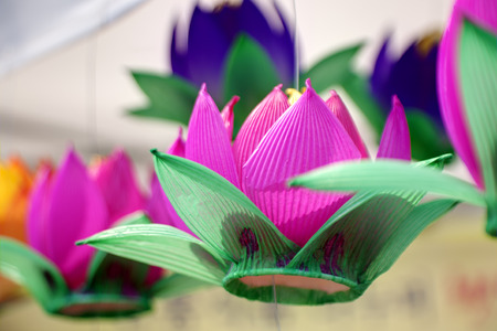 Paper lantern at Lotus Lantern Festival.の写真素材