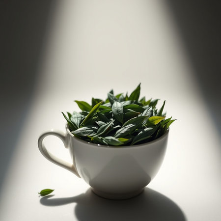 Green tea leaves in a white cup on a white background with sunlight