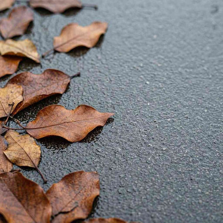 Autumn leaves on wet asphalt. Natural background. Selective focus.