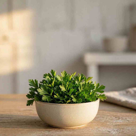 Parsley in a bowl on a wooden table in the kitchen