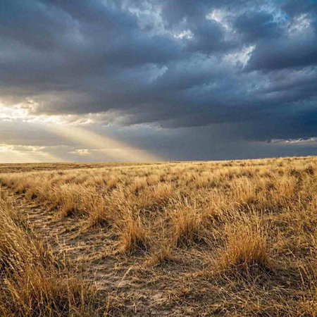 Sunset in the steppe of Kazakhstan. The steppe of Kazakhstan.