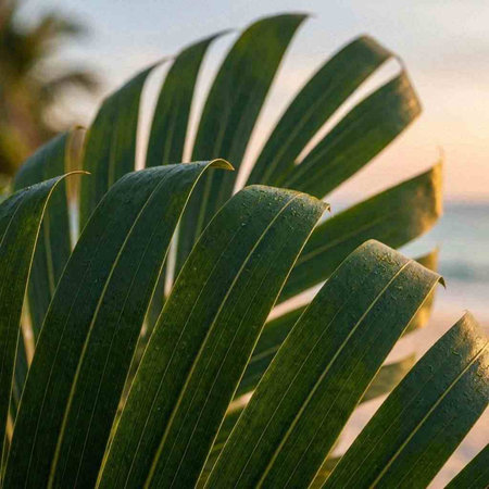Palm leaves on a background of the sea. Selective focus.
