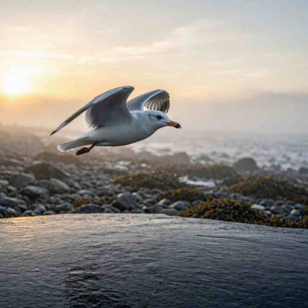 Seagull flying over the sea at sunset. Beautiful seascape.