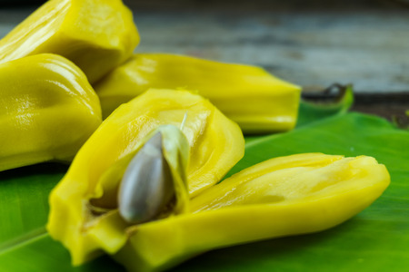 Focus jackfruit yellow seedless pile on green banana leafの写真素材