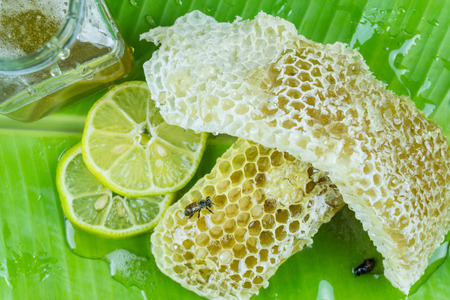 Honeycomb with honey jar, lemon slice on a banana leaf.の写真素材