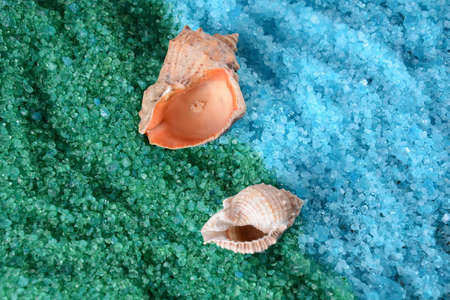 Sea shell on the colorful salt background. Spa and body care concept. Dead Sea Salt. Aromatic spa...