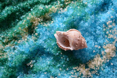 Sea shell on the colorful salt background. Spa and body care concept. Dead Sea Salt. Aromatic spa treatment. Natural ingredients for homemade body salt scrub. Beauty and skin care concept.の写真素材