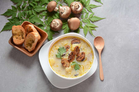 Delicious soup with mushrooms champignon and potato.Creamy Chanterelle Soup .Nordic cuisine. Vegan soupの写真素材