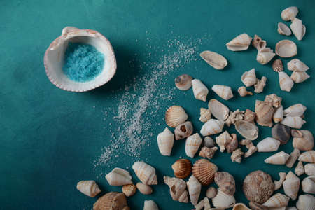 Sea shells on a sea wave color background. Summer vacation concept. Space for the text.の写真素材