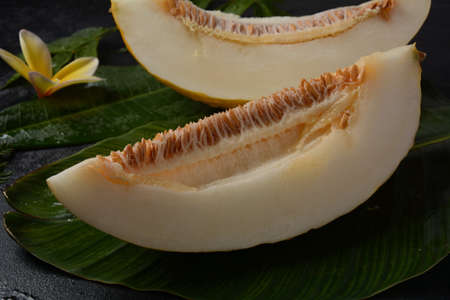 Melon slice on herb background. Sliced juicy piece of melon.