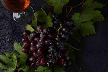 Bunch of dark blue / black grapes  with leaves  on black backgroundの写真素材