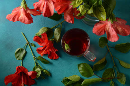 Hibiscus tea in a glass transparent teapot, and blossom flowerの写真素材