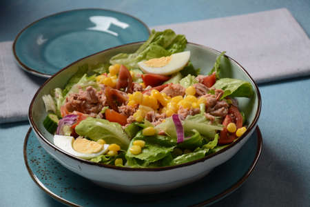 Tuna Fish Salad with Lettuce, Cherry Tomatoes, Cucumber, boiled eggs, onions and Cornの写真素材