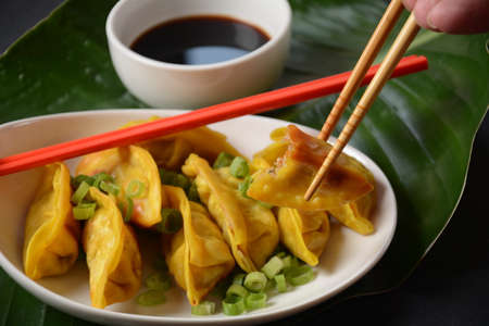 Japanese dumplings Gyoza with chicken and vegetables, soy sauce and green onionsの写真素材