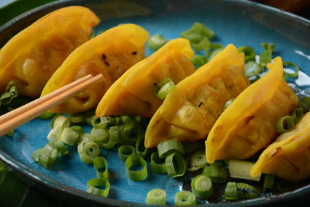 Japanese dumplings Gyoza with chicken and vegetables, soy sauce and green onions