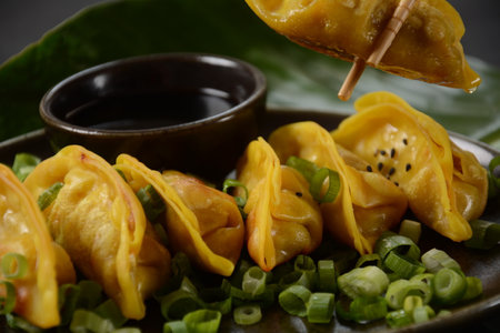 Japanese dumplings Gyoza with chicken and vegetables, soy sauce and green onionsの写真素材