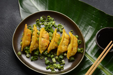 Japanese dumplings Gyoza with chicken and vegetables, soy sauce and green onionsの写真素材